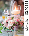 パーティのキャンドルフラワー 8250853
