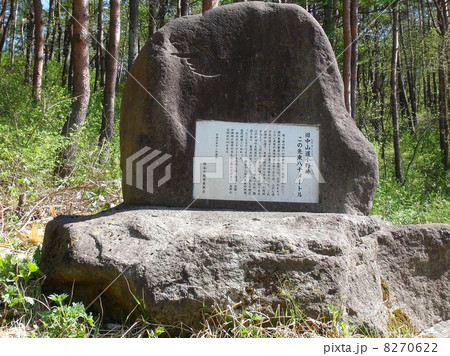 初期中山道「小野峠・三沢峠」 初期中山道「小野峠・三沢峠」 8270622
