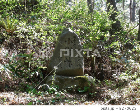 初期中山道「小野峠・三沢峠」 初期中山道「小野峠・三沢峠」 8270625