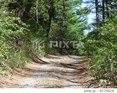 初期中山道｢小野峠・三沢峠」 8270626