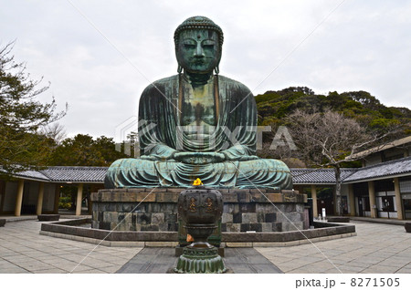 鎌倉大仏（高徳院／神奈川県鎌倉市長谷） 8271505