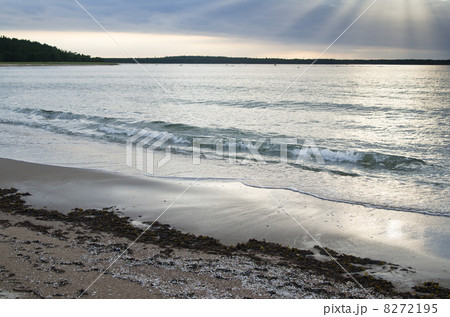 Sandy coast of Baltic sea 8272195