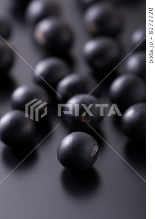 黒豆 8272720