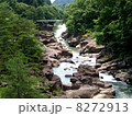 厳美渓 8272913