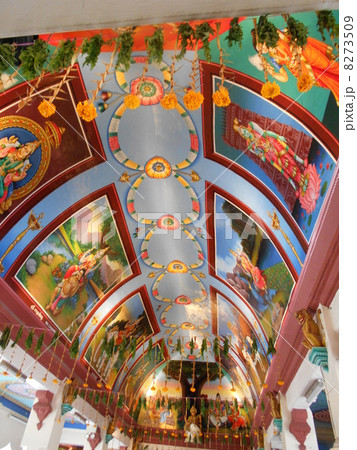 極彩色の祈り① 8273509