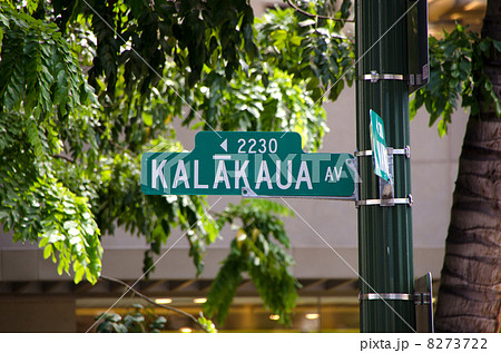 カラカウア通りの道路標識 カラカウア通りの道路標識 8273722