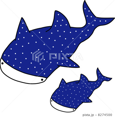 ジンベイザメ ジンベイザメ 8274500