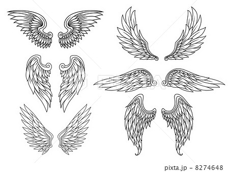 Heraldic Wings Setのイラスト素材