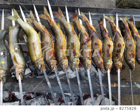 鮎の塩焼き 8275826
