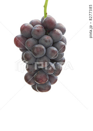 ブドウ ブドウ 8277385