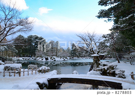 兼六園・雪つりと徽軫灯籠(ことじどうろう)【横】 兼六園・雪つりと徽軫灯籠(ことじどうろう)【横】 8278803
