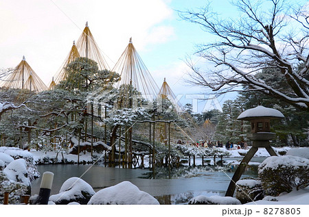 兼六園・雪つりと徽軫灯籠(ことじどうろう)【横】 8278805
