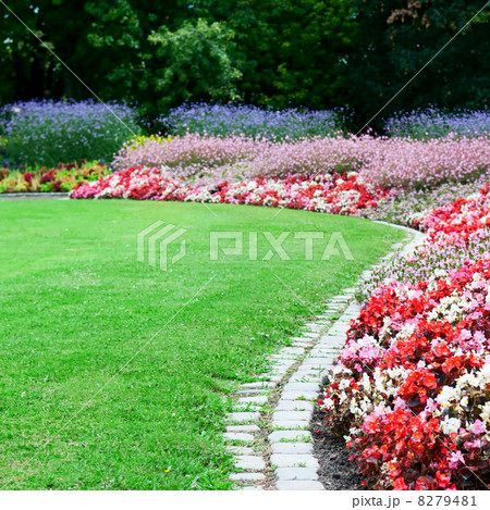 bright flower bed and green grass in the summer park 8279481