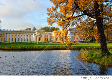 The Alexander palace in Pushkin. Autumn landscape 8279528