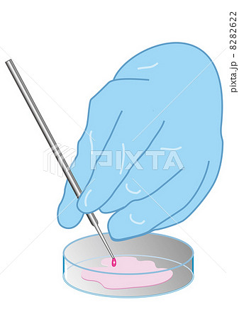シャーレで培養のイラスト素材 622