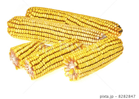 Corn Corncob 8282847