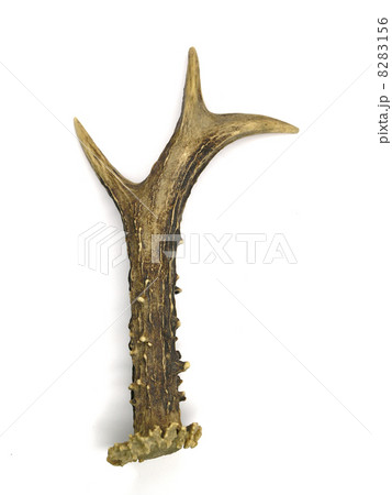 Antler 8283156