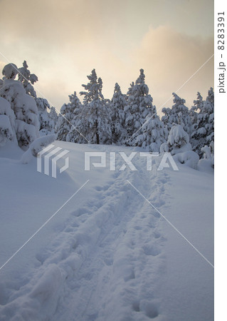 Footprints in snow 8283391