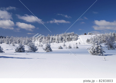 Winter 8283803