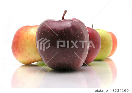 8284169