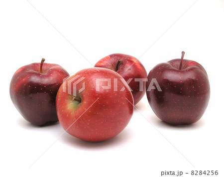 Forth Apple 8284256