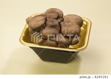 霜降ひらたけ・野菜 8285261