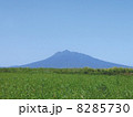岩木山 8285730