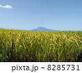 岩木山 8285731