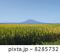 岩木山 8285732