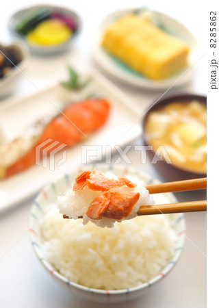 鮭 8285862