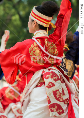 土佐の夏　よさこい祭りは楽しい　ほにや　よさこい２０１３全国大会　高知城会場 8285946