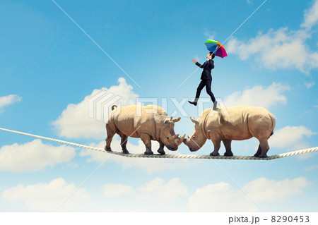 Rhino walking on rope 8290453