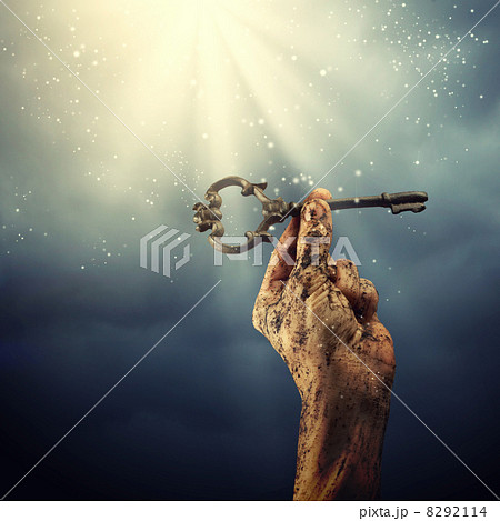 Key of success 8292114