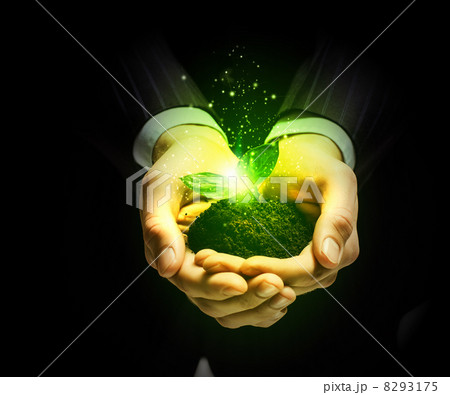 Sprout in hands Sprout in hands 8293175