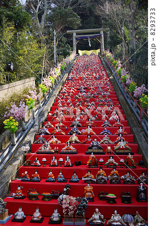 勝浦ビッグひな祭 8293733