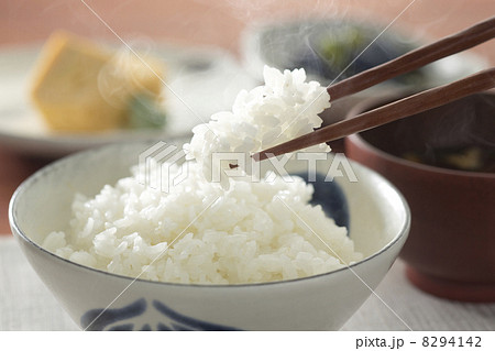 ごはん 8294142
