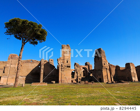 Thermes de Caracalla, Rome, Italy 8294445
