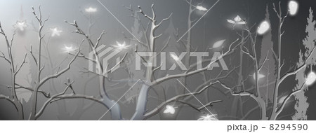 冬、冬の夜空、季節 冬、冬の夜空、季節 8294590
