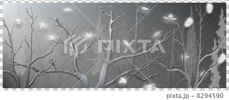 冬、冬の夜空、季節 冬、冬の夜空、季節 8294590