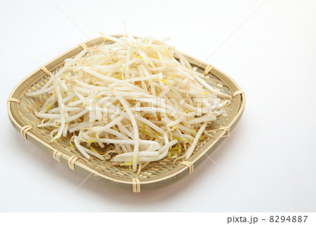 もやし 8294887