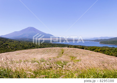 初秋の富士山 8295100