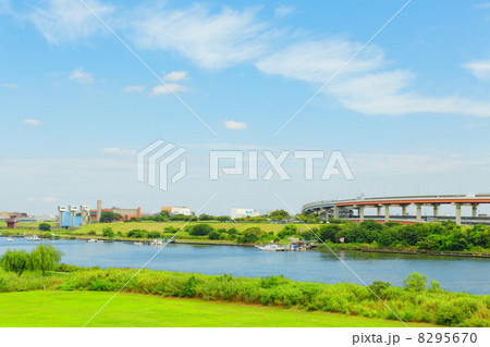 荒川の川原の緑と青い空 荒川の川原の緑と青い空 8295670
