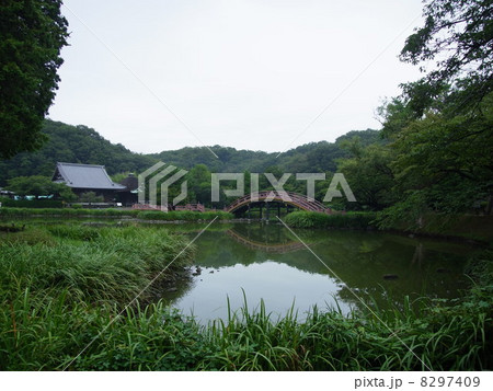 浄土庭園 8297409