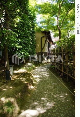 ねねの道 8297585