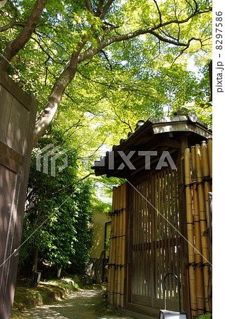 ねねの道 8297586