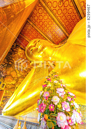 ワット・ポーの涅槃仏(タイ、バンコク) 8299467