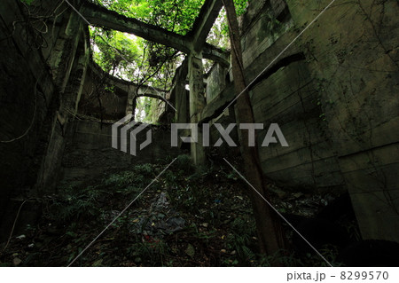 自然に帰りつつあるコンクリート構造体 8299570