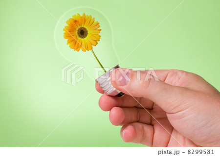 Hand holding lightbulb with  flower inside 8299581