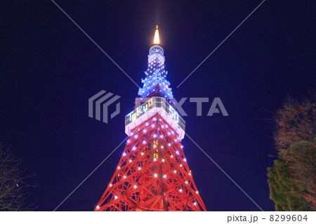 東京タワーのクリスマスイルミネーションの写真素材