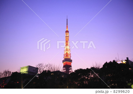 東京タワーの夜景 8299620